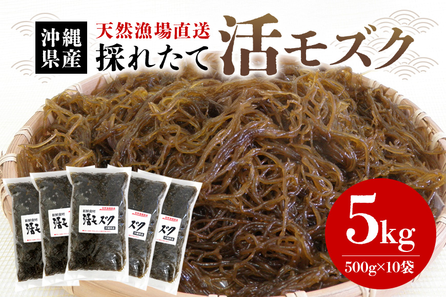 【期間限定】今が旬！天然漁場直送の新鮮食材　採れたて活モズク5kg（500g×10）沖縄県産