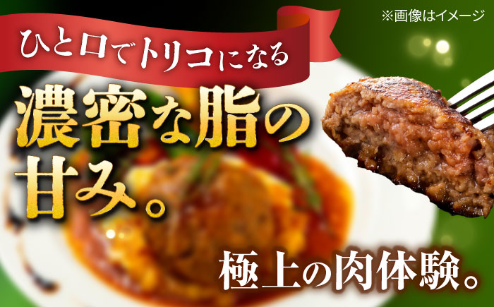 『お手軽セット』 豚肉 ポークステーキ ハンバーグ 詰め合わせ お取り寄せ 国産 ギフト 冷凍 沖縄市 / DELICATESSEN NUCHIBUTA [BCAR006]