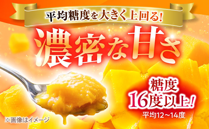 【優秀賞受賞】沖縄県産 完熟マンゴー 訳アリ 2kg (3〜5玉) マンゴー 沖縄 果物 フルーツ ギフト 沖縄市 / MAIFARM [BCAN004]