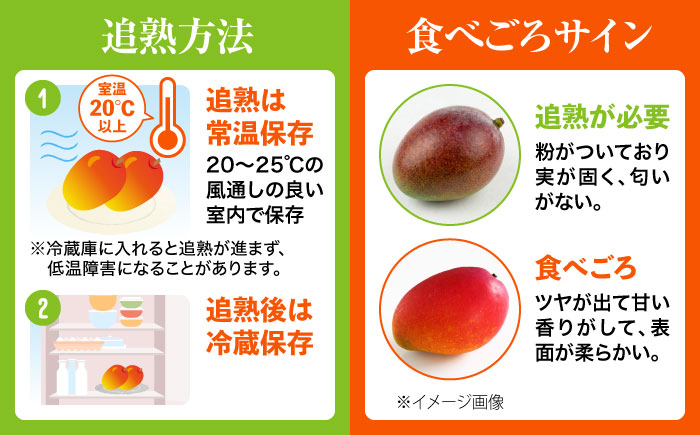 【2026年発送】 訳あり 完熟マンゴー 約3kg (約1.5kg (3〜6玉) ×2箱) マンゴー 沖縄 果物 フルーツ ギフト 沖縄市 / ちゃんぷる〜市場 [BCAA003]