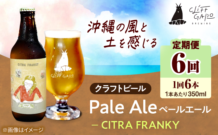 【全6回定期便】-CLIFF BEER- CITRA FRANKY  (ペールエール) 6本入り ビール クラフトビール 350ml 飲み比べ ギフト 沖縄市 / 株式会社クリフクラフト [BCDS011]