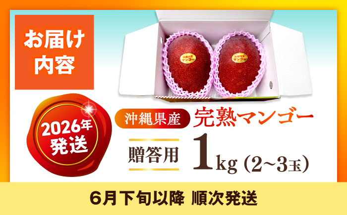 【先行予約】【優秀賞受賞】沖縄県産 完熟マンゴー 贈答用 1kg (2〜3玉) マンゴー 沖縄 果物 フルーツ ギフト 沖縄市 / MAIFARM [BCAN001]