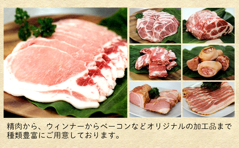 沖縄県産豚肉　くいまーる豚「ロースブロック」約1.8kg【 豚肉 肉 県産豚 ロース ブロック 個包装 2個 900g 1800g 焼肉 BBQ しゃぶしゃぶ とんかつ おかず おつまみ 贈答用 贈り物 ギフト 冷凍 沖縄 沖縄県産 くいまーる 宮城ふぁーむ 】