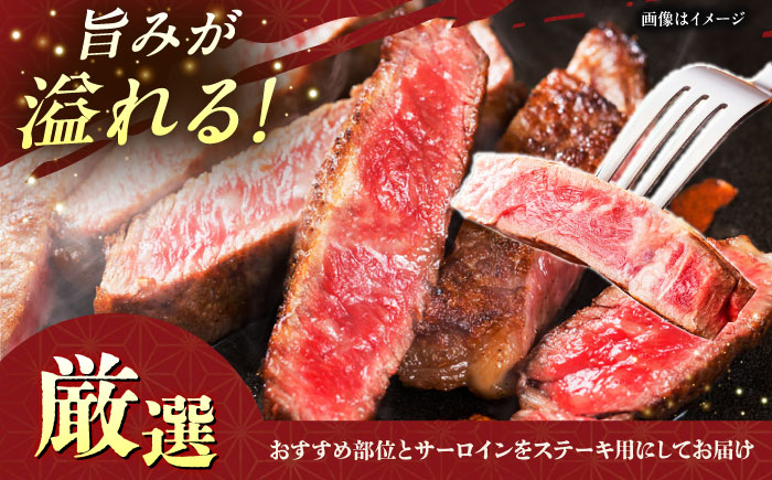 【全12回定期便】【数量限定】沖縄和牛 佐渡山牛 サーロイン＆希少部位 ステーキ肉 500g 牛肉 和牛 サーロインステーキ 焼肉 赤身 沖縄市 / 肉のサブロー [BCBC016]