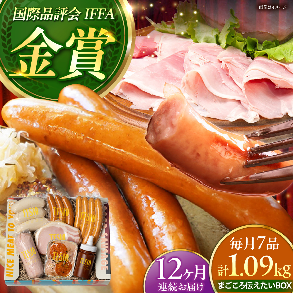 【全12回定期便】TESIOの自家製ハム＆ソーセージ 『まごころ伝えたいBOX』 豚肉 ハム ソーセージ 小分け 真空パック 沖縄市 / TESIO [BCAD015]