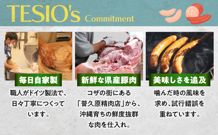 【ふるさと納税限定】TESIOの自家製フランク＆ボローニャセット (計380g) 豚肉 ハム ソーセージ 小分け 真空パック 沖縄市 / TESIO [BCAD005]