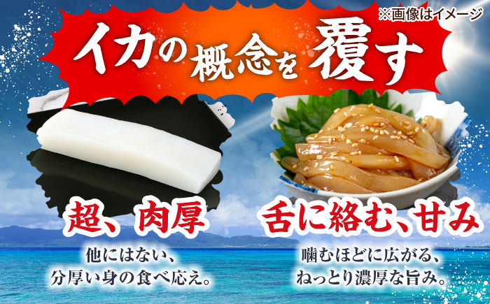 冷凍セーイカ (そでいか) 900g (300g ×3パック) 沖縄市 / 沖縄市漁業協同組合 パヤオ直売店 [BCDZ008]