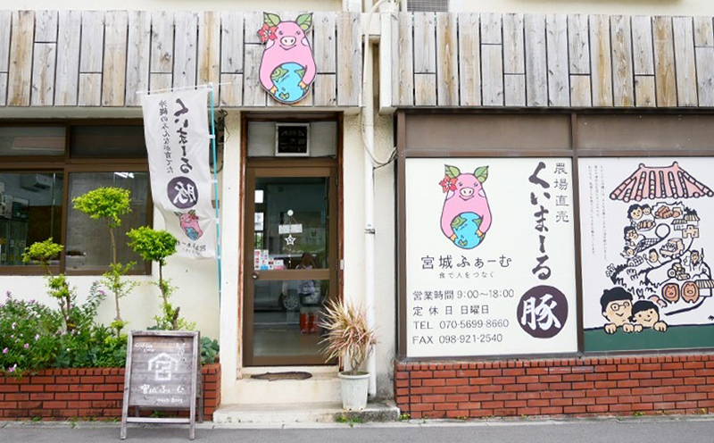 沖縄県産豚肉　豚ミンチ（中挽き）約1.8kg（200g×9P）