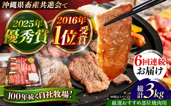 【全6回定期便】【厳選！おすすめ部位】沖縄和牛 佐渡山牛 焼肉用 500g 牛肉 焼肉 焼き肉 和牛 赤身 沖縄市 / 肉のサブロー [BCBC012]