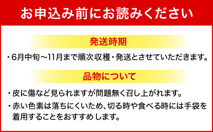 【2026年発送】 【小玉】 完熟ドラゴンフルーツ 1.5kg (5玉) 果物 フルーツ スーパーフード 産地直送 沖縄市 / タカエスフルーツ＆ベジタブル [BCBH005]