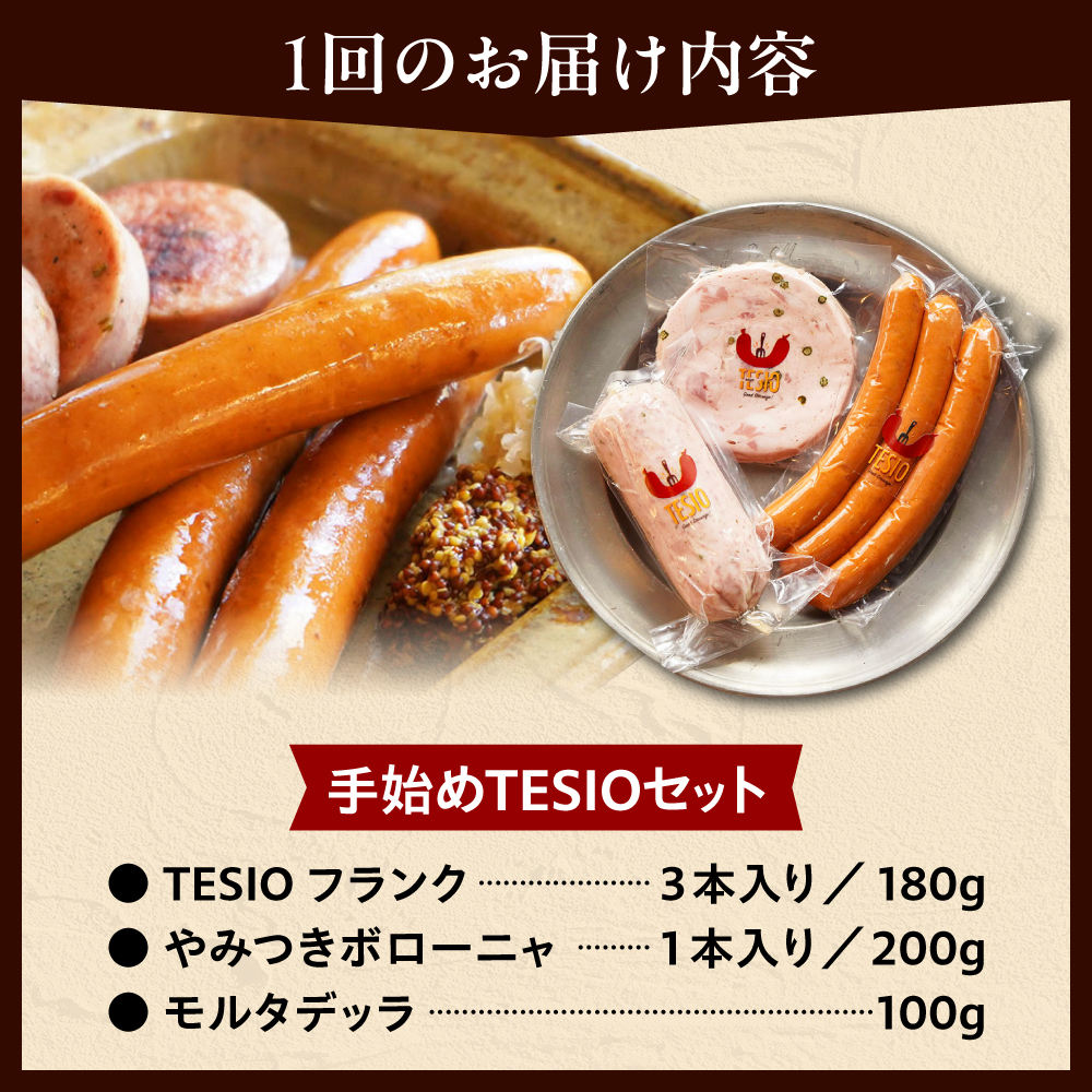 【全12回定期便】TESIOの自家製ハム＆ソーセージ 『手始めTESIOセット』 豚肉 ハム ソーセージ 小分け 真空パック 沖縄市 / TESIO [BCAD009]