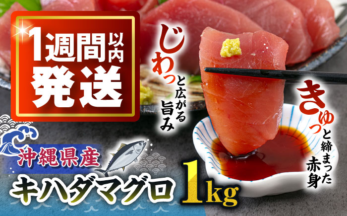 冷凍キハダマグロ 1kg (500g×2パック) マグロ まぐろ 小分け 冷凍 刺身 赤身 沖縄市 / 沖縄市漁業協同組合 パヤオ直売店 [BCDZ001]