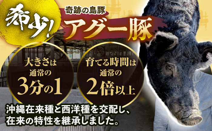 おにくの碧龍の「アグー豚のハンバーグ・ソーセージ詰め合わせギフト」 豚肉 ハンバーグ ソーセージ 詰め合わせ お取り寄せ 国産 ギフト 沖縄市 / おにくの碧龍 [BCEO013]