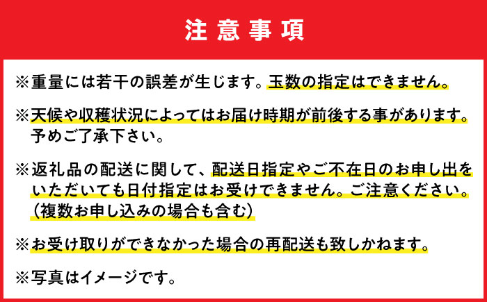 【先行予約】【優秀賞受賞】沖縄県産 完熟マンゴー 贈答用 2kg (3〜5玉) マンゴー 沖縄 果物 フルーツ ギフト 沖縄市 / MAIFARM [BCAN002]