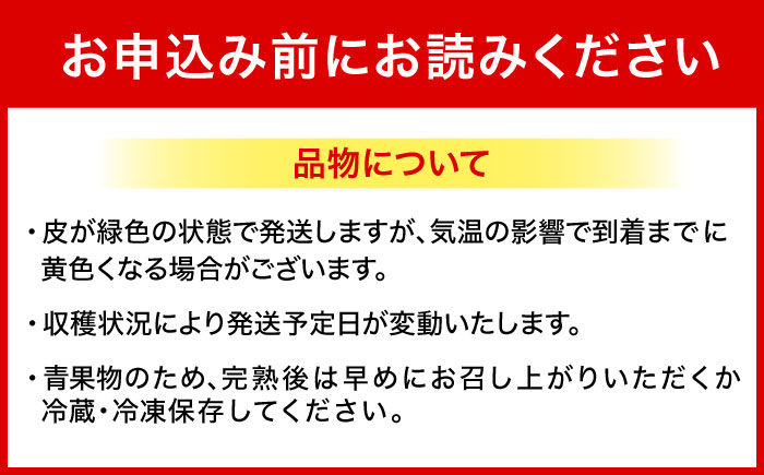 【2026年発送】ムッチリ食感！沖縄県産アップルバナナ 2kg バナナ フルーツ 果物 banana 沖縄市 / タカエス フルーツ＆ベジタブル [BCBH001]