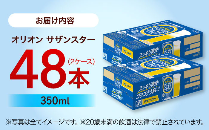 オリオン サザンスター 350ml (24缶×2ケース) オリオンビール 缶ビール ビール 350ml 48本 沖縄市 / 株式会社仲松商事 [BCDA003]