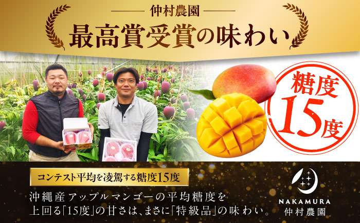 【2026年発送】【贈答用】仲村農園の完熟アップルマンゴー1kg マンゴー 沖縄 果物 フルーツ ギフト 沖縄市 / 仲村農園 [BCCU002]
