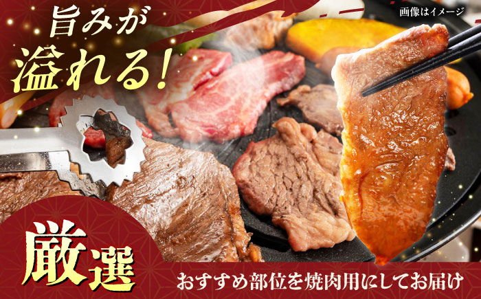 【全6回定期便】【厳選！おすすめ部位】沖縄和牛 佐渡山牛 焼肉用 500g 牛肉 焼肉 焼き肉 和牛 赤身 沖縄市 / 肉のサブロー [BCBC012]