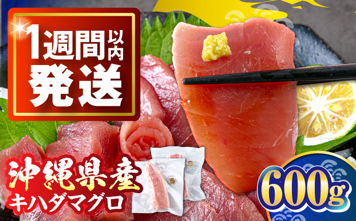 冷凍キハダマグロ 600g (300g×2パック)マグロ まぐろ 小分け 冷凍 刺身 赤身 沖縄市 / 沖縄市漁業協同組合 パヤオ直売店 [BCDZ001]