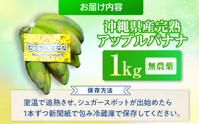 【2026年発送】ムッチリ食感！沖縄県産アップルバナナ 1kg バナナ フルーツ 果物 banana 沖縄市 / タカエス フルーツ＆ベジタブル [BCBH003]