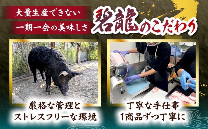 おにくの碧龍の「アグー豚のハンバーグ・ソーセージ詰め合わせギフト」 豚肉 ハンバーグ ソーセージ 詰め合わせ お取り寄せ 国産 ギフト 沖縄市 / おにくの碧龍 [BCEO013]