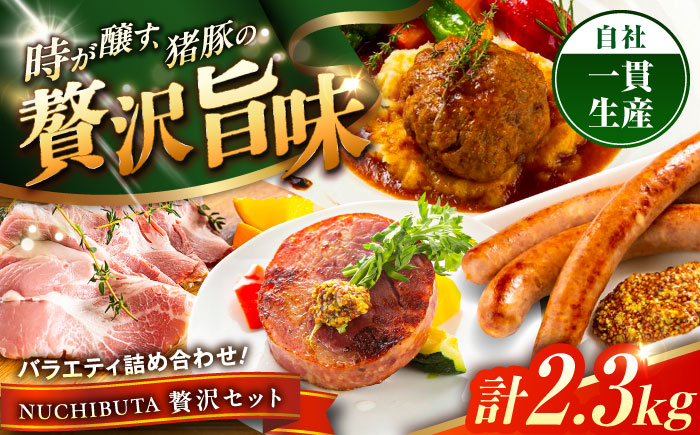 『NUCHIBUTA 贅沢セット』 豚肉 ハンバーグ ソーセージ ハム 詰め合わせ お取り寄せ 国産 ギフト 冷凍 沖縄市 / DELICATESSEN NUCHIBUTA [BCAR008]