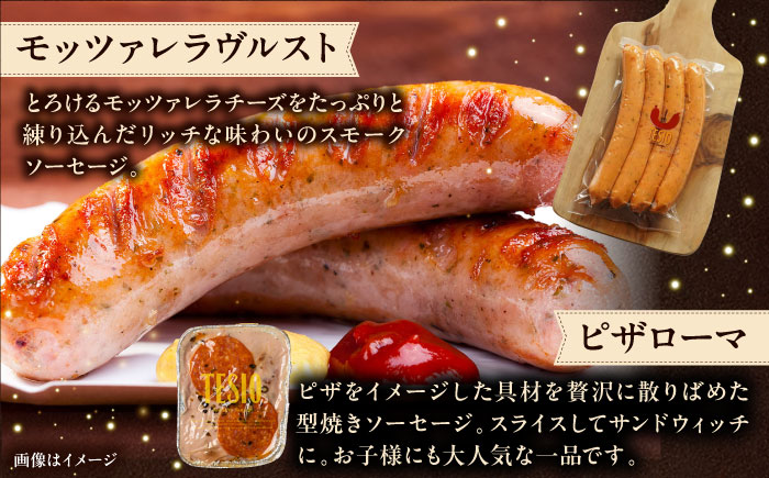 【全3回定期便】TESIOの自家製ハム＆ソーセージ 『まごころ伝えたいBOX』 豚肉 ハム ソーセージ 小分け 真空パック 沖縄市 / TESIO [BCAD013]