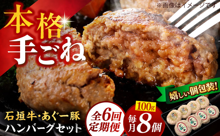 【全6回定期便】沖縄県産 あぐー豚＆石垣牛 ハンバーグセット 800g (100g×8個) 豚 牛 ハンバーグ 冷凍 ギフト お取り寄せ 沖縄市 / お肉屋本店 [BCAZ016]