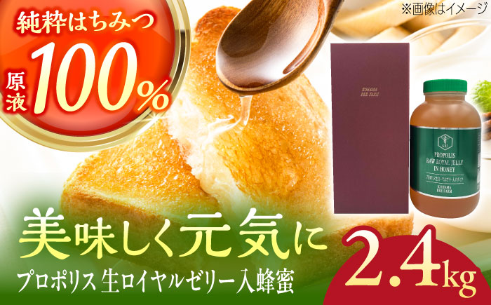 コハマのハチミツ プロポリス 生ローヤルゼリー入蜂蜜 2.4kg×1本 蜂蜜 はちみつ ハチミツ 国産 ギフト 年内発送 沖縄市 / 農業生産法人株式会社小浜養蜂場 [BCAQ008] 