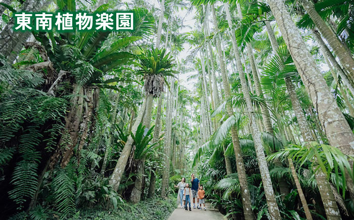 沖縄県沖縄市 日本旅行 地域限定旅行クーポン 6万円分 旅行券 チケット 宿泊券 プレゼント ギフト 60000円 沖縄市 / 株式会社日本旅行 [BCAC003]