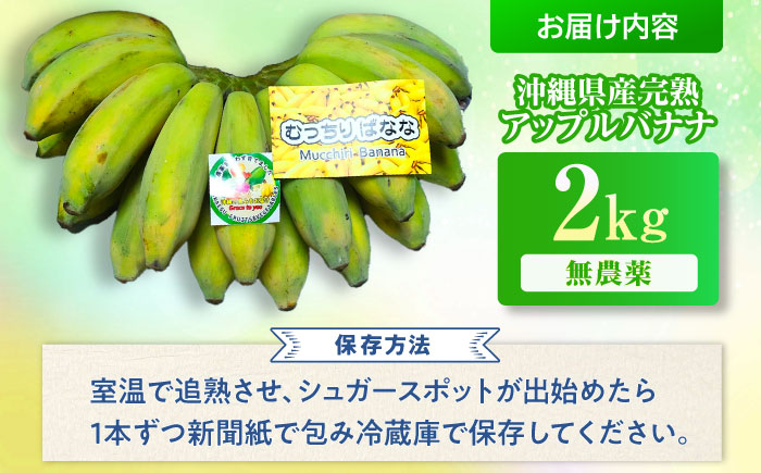 【2026年発送】ムッチリ食感！沖縄県産アップルバナナ 2kg バナナ フルーツ 果物 banana 沖縄市 / タカエス フルーツ＆ベジタブル [BCBH001]