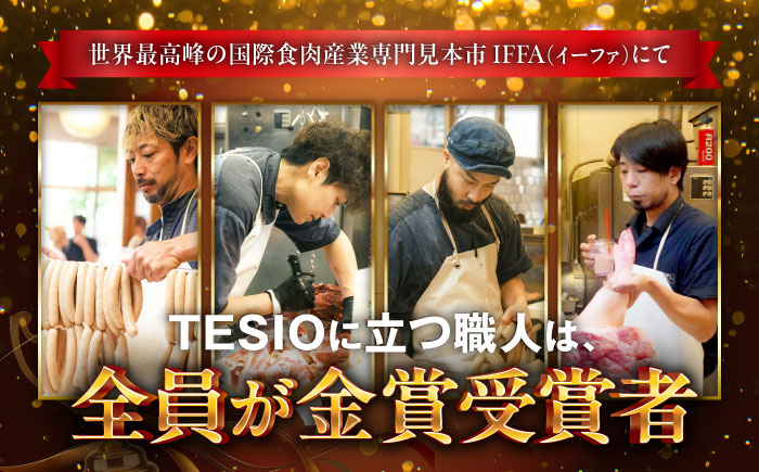 TESIOの自家製ハム＆ソーセージ 『手始めTESIOセット』 豚肉 ハム ソーセージ 小分け 真空パック 沖縄市 / TESIO [BCAD001]