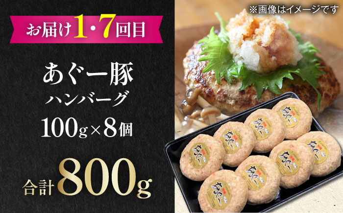 【全12回定期便】家族で満喫！沖縄のお肉贅沢セット【沖縄市】ハンバーグ あぐー 石垣牛 ステーキ 焼肉 冷凍 ギフト お取り寄せ 沖縄市 / お肉屋本店 / 豚々茶舗 / TESIO / 肉のサブロー [BCZZ035]