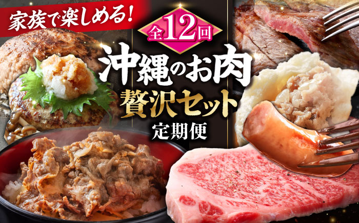 【全12回定期便】家族で満喫！沖縄のお肉贅沢セット【沖縄市】ハンバーグ あぐー 石垣牛 ステーキ 焼肉 冷凍 ギフト お取り寄せ 沖縄市 / お肉屋本店 / 豚々茶舗 / TESIO / 肉のサブロー [BCZZ035]