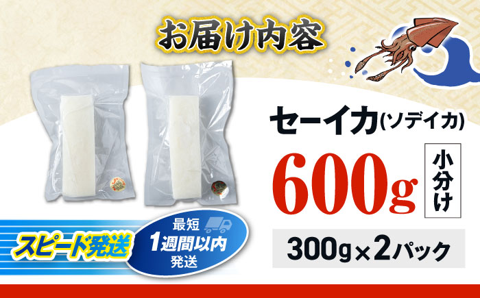セーイカ (そでいか) 0.6kg (300g ×2パック) 沖縄市 / 沖縄市漁業協同組合 パヤオ直売店 [BCDZ002]