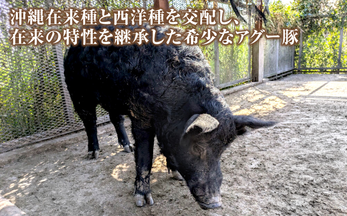 おにくの碧龍の「アグー豚のもも角切り (カレー・シチュー用) 1.2kg (200g×6袋)」  豚肉 モモ もも肉 カレー シチュー 小分け 冷凍 国産 沖縄県産 沖縄市 / おにくの碧龍 [BCEO003]