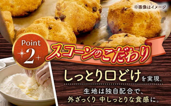 厳選おすすめ ベーグル ＆ スコーン 各12個 (24個セット) 詰め合わせ お取り寄せ 冷凍 個包装 沖縄市 / ZEBRA.Bagel [BCAE004]