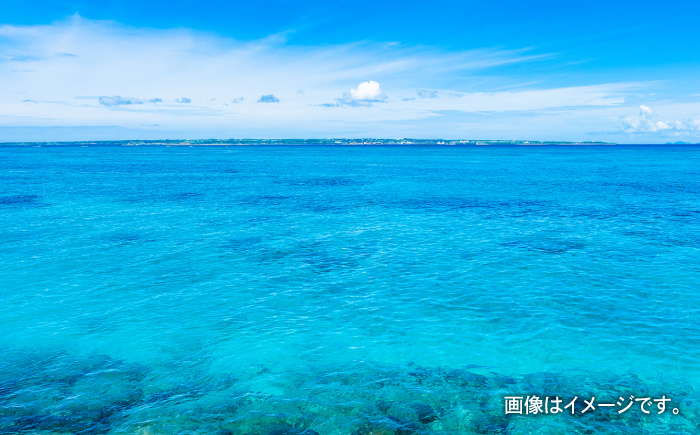 しゃぶしゃぶ用 沖縄県産極太もずく モズク 太もずく しゃぶしゃぶ 国産 沖縄市 / 合同会社沖縄直販 [BCDM004]