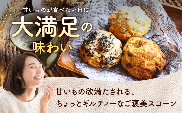 【全6回定期便】厳選おすすめ スコーン 12個セット 焼き菓子 焼菓子 お菓子 冷凍 個包装 沖縄市 / ZEBRA.Bagel [BCAE012]