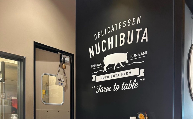 デリカテッセンヌチブタ　バラエティ詰め合わせ【Cセット】約1.1kg NUCHIBUTA 豚肉 加工品 ソーセージ ハンバーグ ポーク ベーコン ハム 詰め合わせ バラエティ おつまみ おかず グルメ アウトドア バーベキュー キャンプ飯 冷凍 国産 沖縄県産 沖縄市