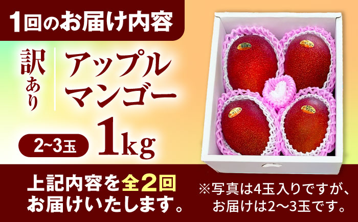 【全2回】太陽の恵み マンゴーご褒美便 (総計2kg) マンゴー 2026 沖縄 果物 フルーツ ギフト 沖縄市 / 仲村農園 [BCZZ051]