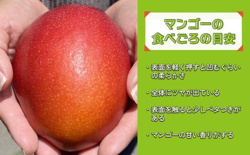 ＜2024年発送＞沖縄県産　完熟マンゴー　2kg　優品