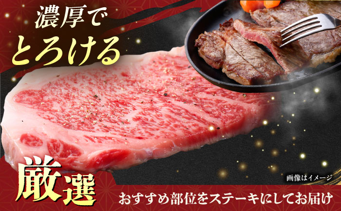 【全6回定期便】【厳選！おすすめ部位】沖縄和牛 佐渡山牛 ステーキ肉 500g ステーキ 牛肉 和牛 焼肉 赤身 沖縄市 / 肉のサブロー [BCBC006]