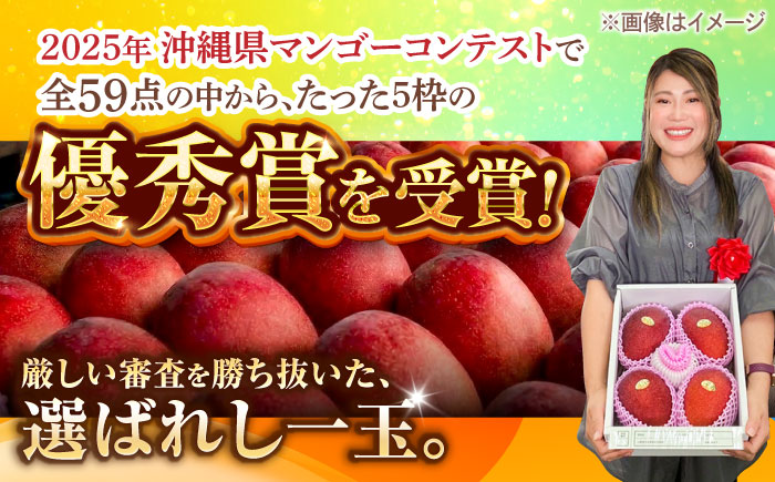 【先行予約】【最優秀賞受賞】沖縄県産 完熟マンゴー 大玉 2個入り マンゴー 沖縄 果物 フルーツ ギフト 沖縄市 / MAIFARM [BCAN006]