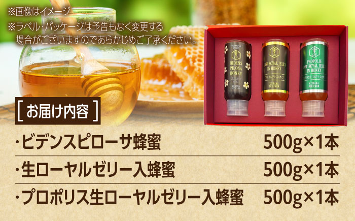 コハマのハチミツ 500g 3本セット 蜂蜜 はちみつ ハチミツ 国産 ギフト  沖縄市 / 農業生産法人株式会社小浜養蜂場 [BCAQ005] 