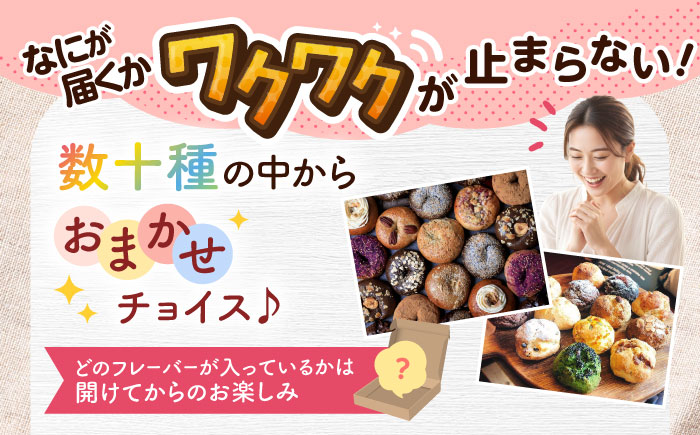 厳選おすすめ ベーグル ＆ スコーン 各12個 (24個セット) 詰め合わせ お取り寄せ 冷凍 個包装 沖縄市 / ZEBRA.Bagel [BCAE004]