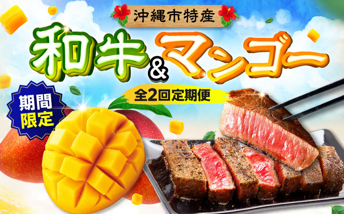 【期間限定】 【全2回】 沖縄市特産 和牛ステーキ & マンゴー アップルマンゴー 沖縄 牛肉 希少部位 ステーキ 沖縄市 / 仲村農園 / 肉のサブロー [BCZZ049]