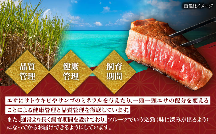【厳選！おすすめ部位】沖縄和牛 佐渡山牛 切り落とし 500g 牛肉 焼肉 焼き肉 和牛 赤身 沖縄市 / 肉のサブロー [BCBC002]