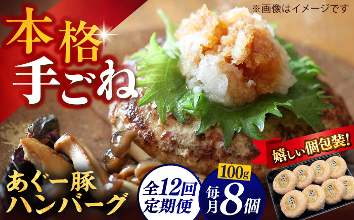 【全12回定期便】沖縄県産あぐー豚ハンバーグセット 800g (100g×8個) 豚 ハンバーグ 冷凍 ギフト お取り寄せ 沖縄市 / お肉屋本店 [BCAZ011]