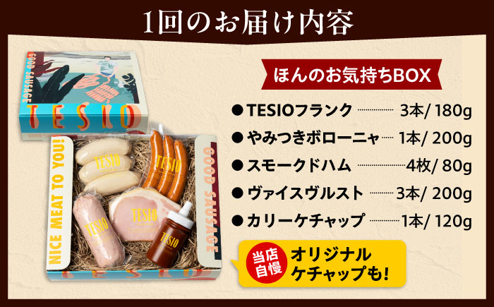 【全3回定期便】TESIOの自家製ハム＆ソーセージ 『ほんのお気持ちBOX』 豚肉 ハム ソーセージ 小分け 真空パック 沖縄市 / TESIO [BCAD010]